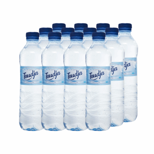 Toudja EAU MINÉRALE 0,5L (Fardeau).