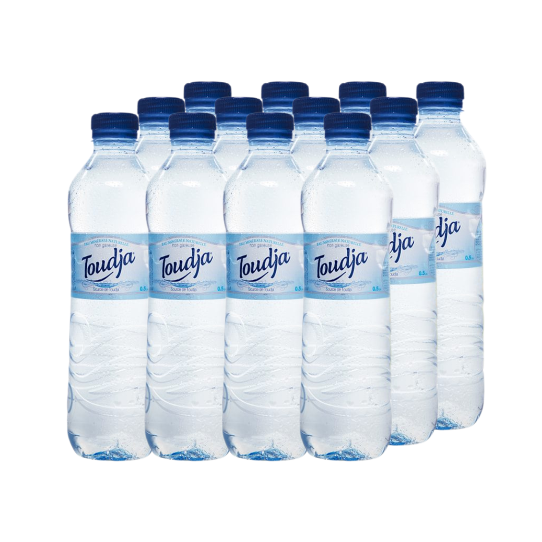 Toudja EAU MINÉRALE 0,5L (Fardeau).