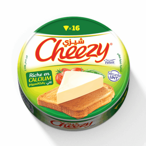CHEEZY fromage 16 portions
