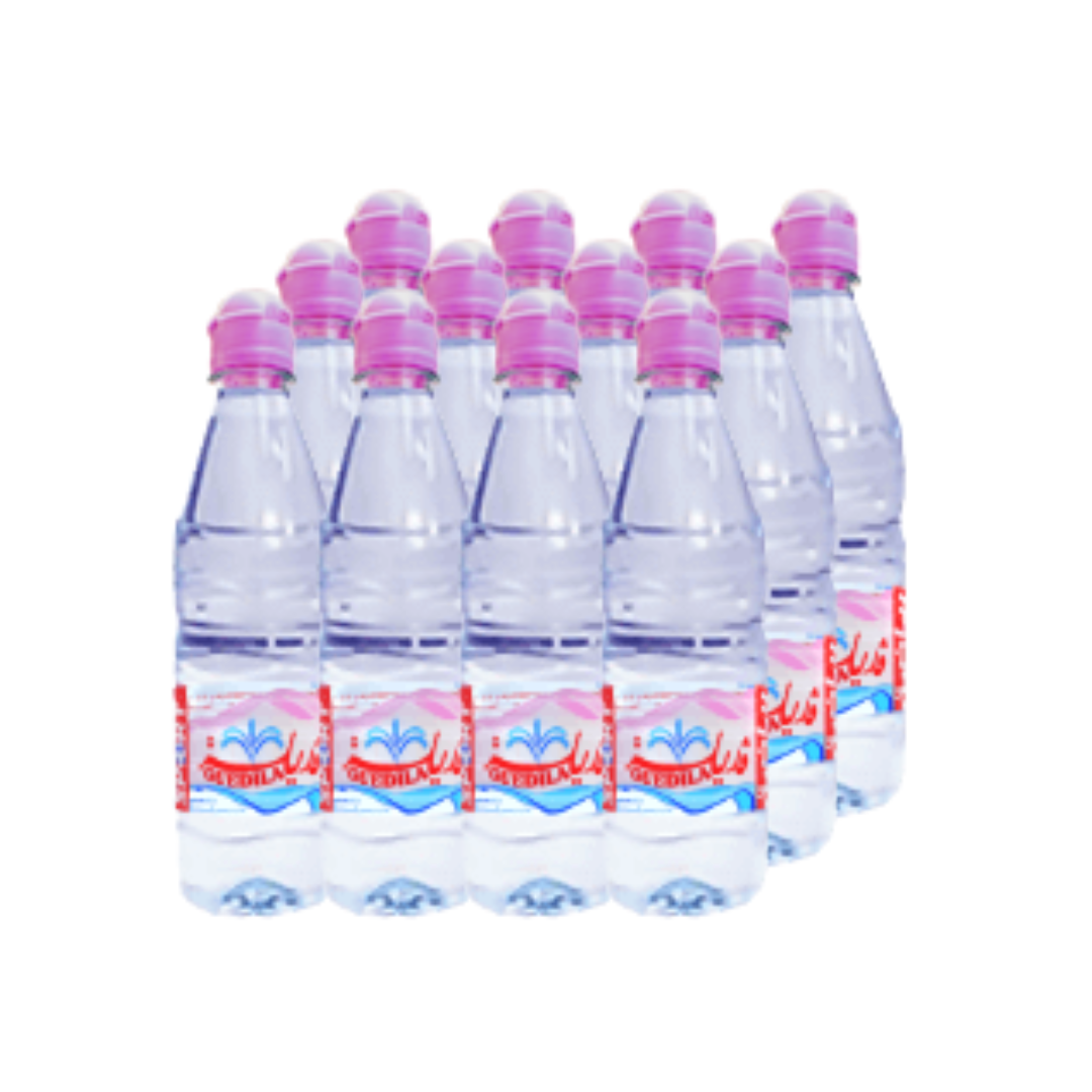 GUEDILA EAU MINÉRALE SPORT 0,5L